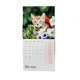 BNL1-24 Nástěnný kalendář - Kočky                                     -2