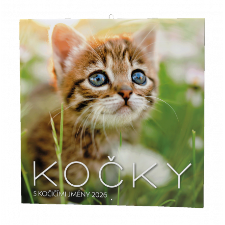 BNL1-26 Nástěnný kalendář - Kočky                                          -1