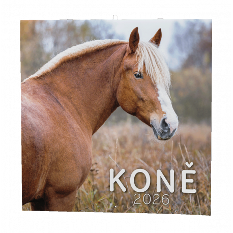 BNL3-26 Nástěnný kalendář - Koně                                -1
