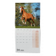 BNL3-26 Nástěnný kalendář - Koně                                -2