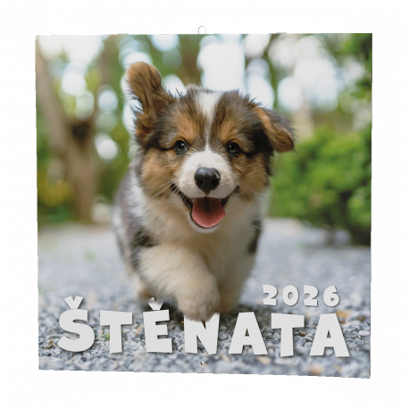 BNL2-26 Nástěnný kalendář - Štěňata                    -1