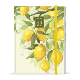 BDA9-5-27 Denní diář - Adam - Lamino - B6 - Citron-1