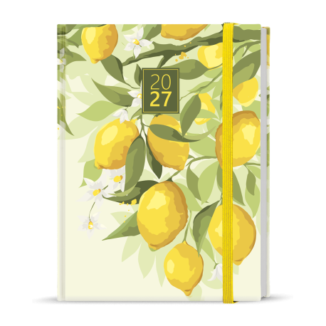 BDA9-5-27 Denní diář - Adam - Lamino - B6 - Citron-1
