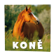 BNL3-27 Nástěnný kalendář - Koně                                -2